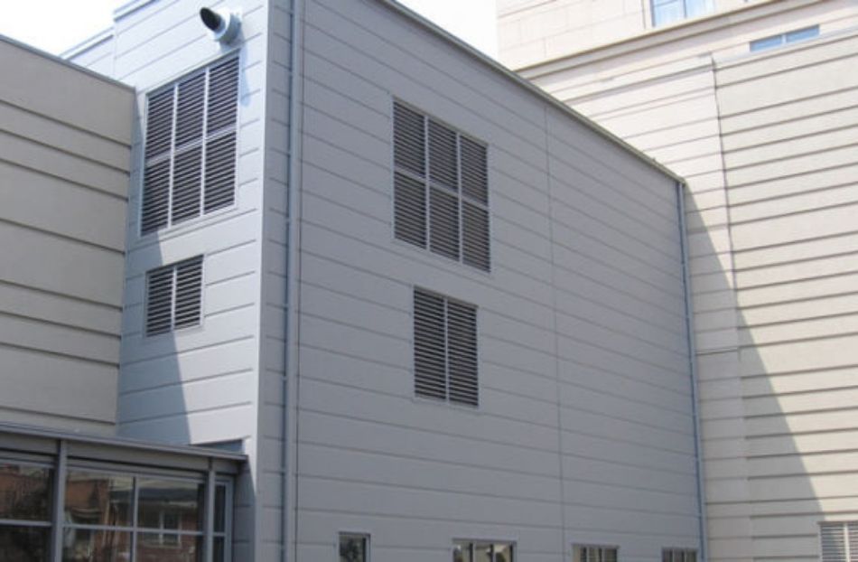 Get essential insights to consider before embarking on an exterior wall cladding project.